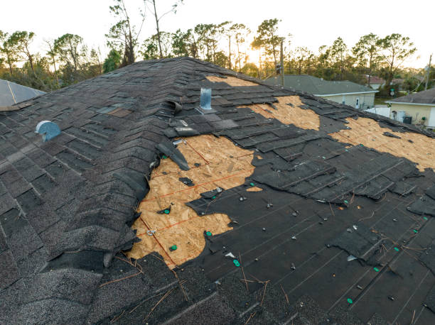Best Roof Coating and Sealing  in Gloucester, MA