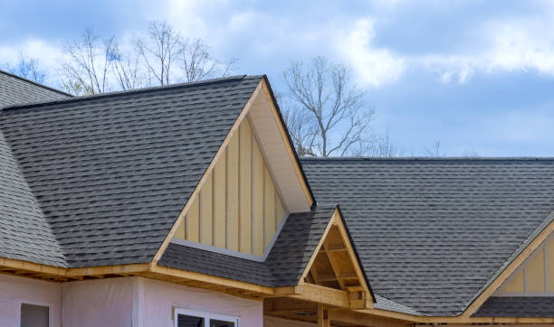 Best Roof Moss and Algae Removal  in Gloucester, MA